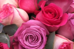 Roses