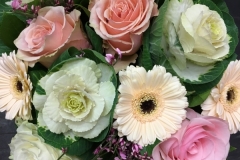 Choux gerbera