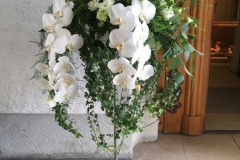 Mariage Pivoine et piment rouge